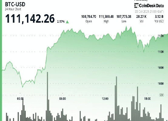 Zcash 급등! 비트코인 반등 지속될까?